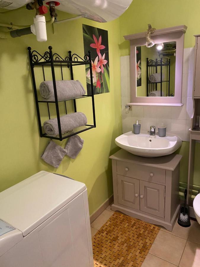 Appartement Cosy Avec Jardin Privatif Et Garage Fontainebleau Kültér fotó
